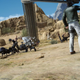 “Prompto, less picture taking, more shooting.” -- Ignis...probably.